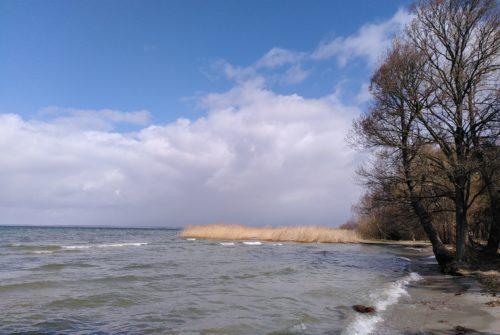 Erholung an der Müritz