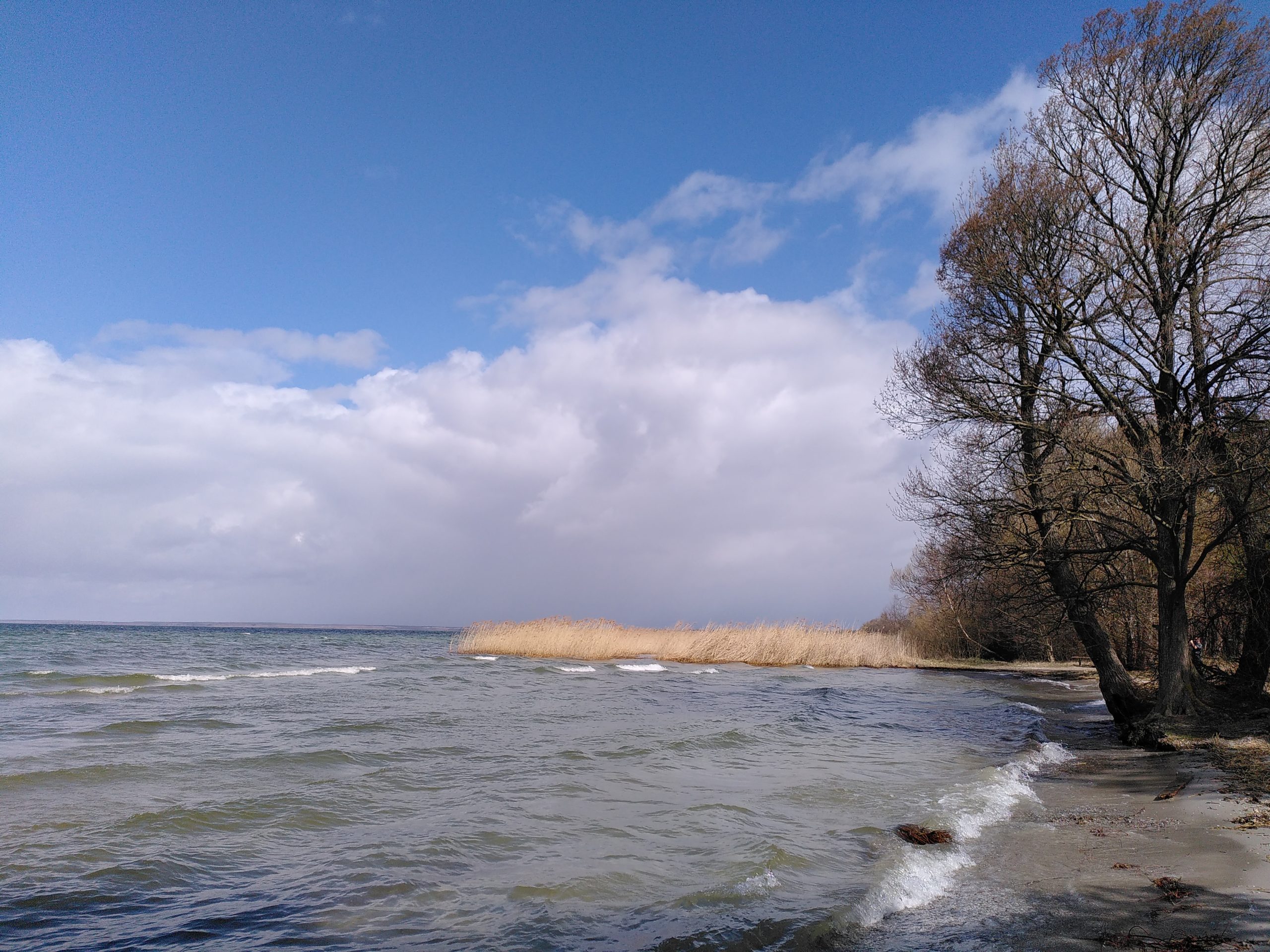 You are currently viewing Erholung an der Müritz