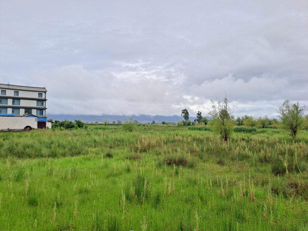 Am Grasmeer von Xinhua